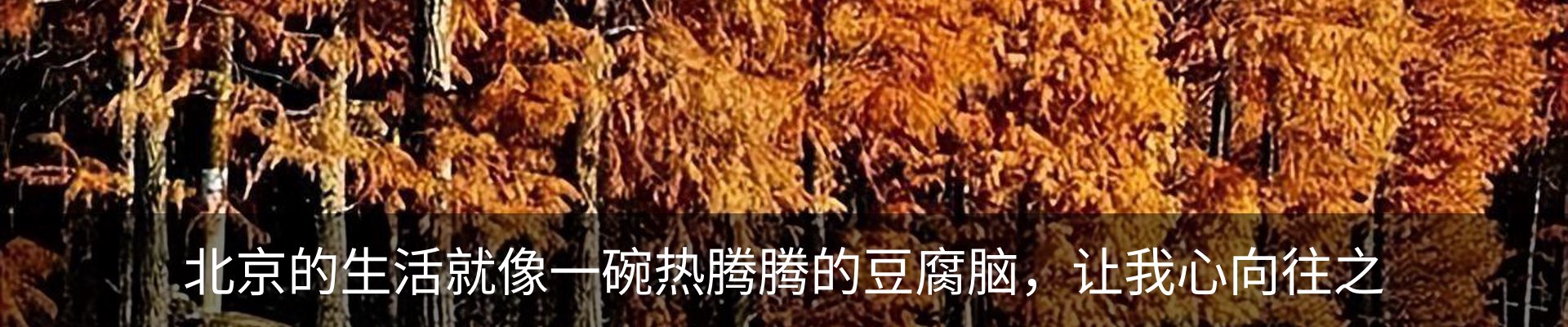 内页banner